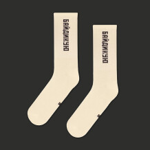 Шкарпетки CEH: «Байдикую» (р. 35-39), (91364)