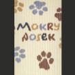 Шкарпетки CEH: «Mokry Nosek» (р. 35-39), (91376) 2