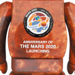 Bearbrick: NASA: Mars (400%), (44254) 2