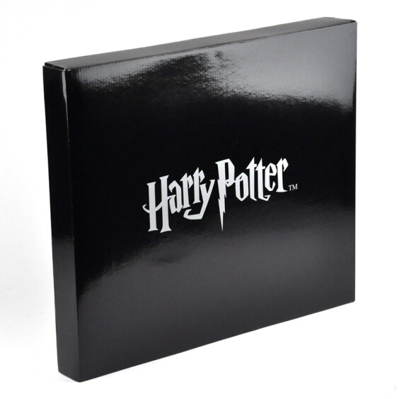 Шахматы The Noble Collection: Wizarding World: Harry Potter: Wizard's Chess (Collector Edition), (710332) 6