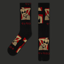 Шкарпетки японські CEH: Eroi: «エロい» (р. 35-39), (91441)