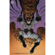 Комікс DC. Batman. The Wedding of Batman & Catwoman. Volume 3. #50 (Adams's Cover), (324881)
