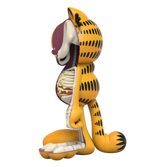 Коллекционная фигура Mighty Jaxx: Jason Freeny: XXray Plus: Garfield: Garfield, (93625) 3