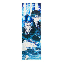 Постер Blue Exorcist: Rin and Yukio, (400219)