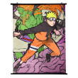 Постер Naruto: Naruto Uzumaki and Blanka, (400568)