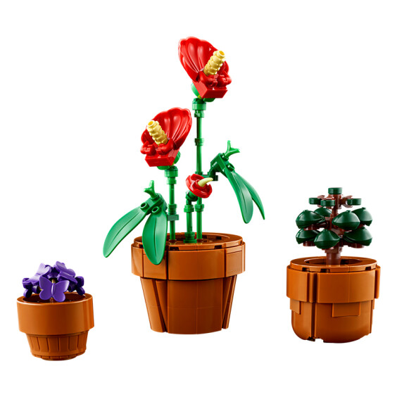 Конструктор LEGO: Icons: Botanical Collection: Tiny Plants, (110329) 4