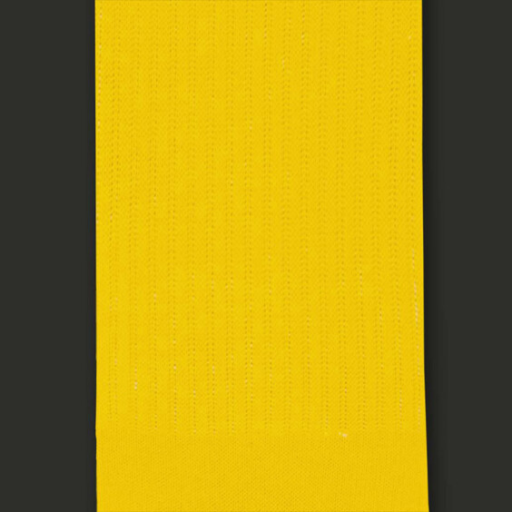 Шкарпетки CEH: Yellow (р. 35-39), (91298) 2