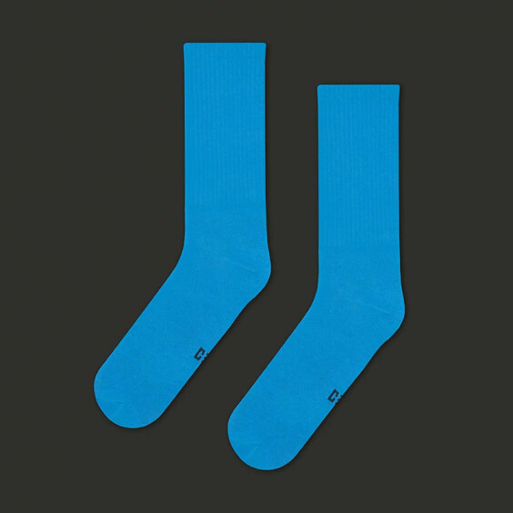 Шкарпетки CEH: Blue (р. 35-39), (91296)